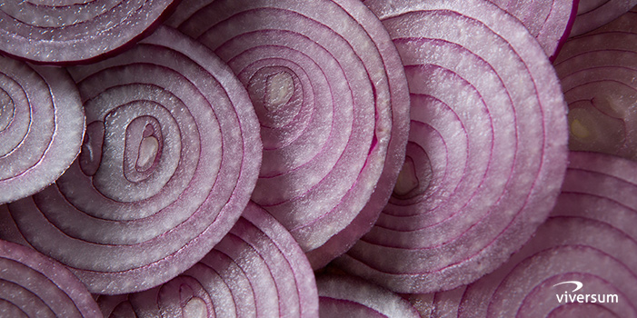 Vertus de l'oignon Vertus de l'oignon